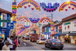Little India Conservation Area (D8), Shop House #466225931